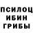 Псилоцибиновые грибы Psilocybine cubensis Xalioon.