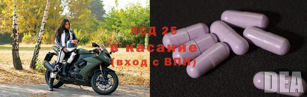 СК Абаза